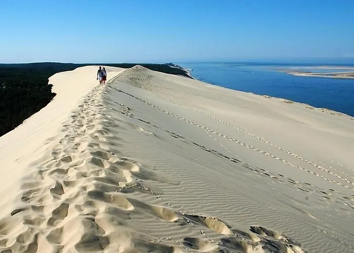 Appartement : T2 Moderne A 2 Pas De La Avec Balcon, Wifi, Parking Et Tv Cinema - Fr-1-420-71 Arcachon