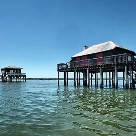 : T2 Moderne A 2 Pas De La Avec Balcon, Wifi, Parking Et Tv Cinema - Fr-1-420-71 Arcachon